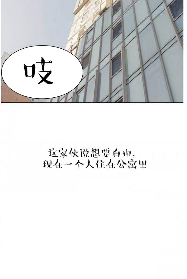 韩国漫画完美的饲养韩漫_完美的饲养-第1话在线免费阅读-韩国漫画-第21张图片