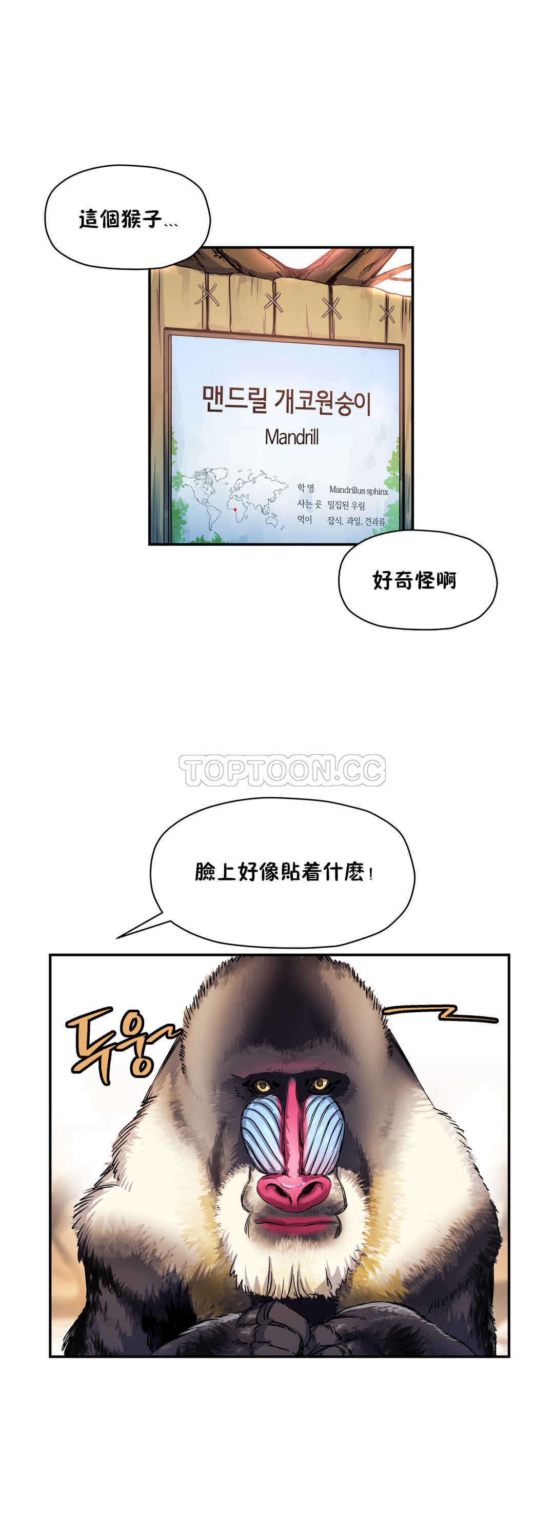 韩国漫画初恋小白鼠韩漫_初恋小白鼠-第11话在线免费阅读-韩国漫画-第20张图片