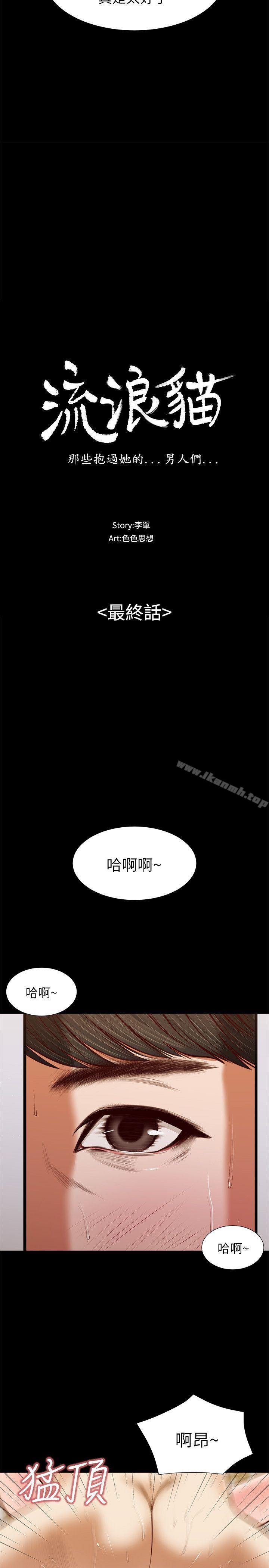 韩国漫画流浪猫韩漫_流浪猫-最终话-你是天真还是傻?在线免费阅读-韩国漫画-第3张图片