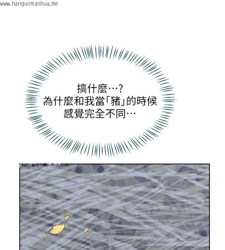 韩国漫画熟女交换计划韩漫_熟女交换计划-第29话-随便玩弄肉棒的芷舒姐在线免费阅读-韩国漫画-第71张图片