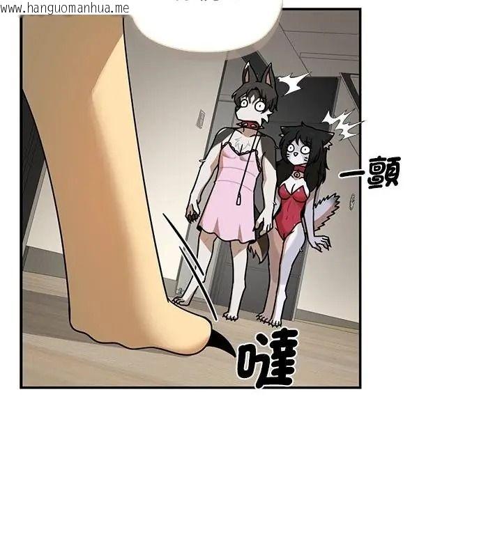 韩国漫画野兽的王国/野兽的乐章韩漫_野兽的王国/野兽的乐章-第43话在线免费阅读-韩国漫画-第160张图片