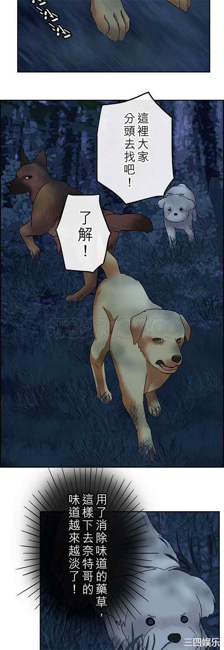 韩国漫画魔咒之吻韩漫_魔咒之吻-第107话在线免费阅读-韩国漫画-第11张图片