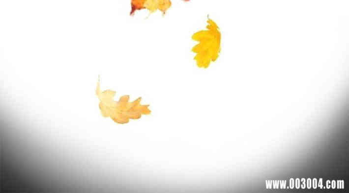 韩国漫画教练教教我韩漫_教练教教我-第15话在线免费阅读-韩国漫画-第10张图片