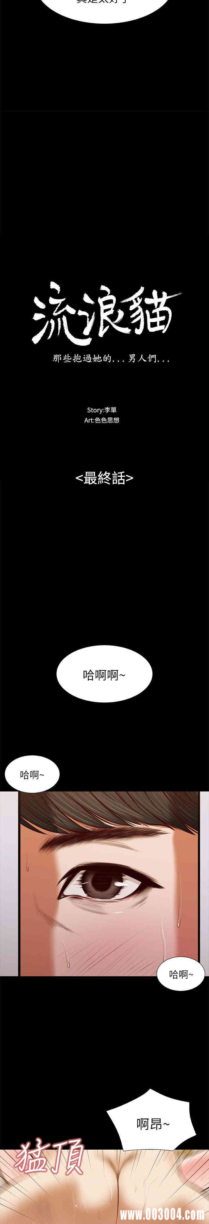 韩国漫画流浪猫韩漫_流浪猫-第40话在线免费阅读-韩国漫画-第3张图片