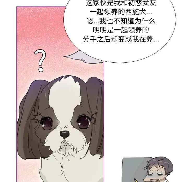 韩国漫画我的猫狗女友韩漫_我的猫狗女友-第一话在线免费阅读-韩国漫画-第16张图片