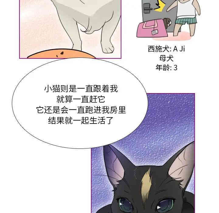韩国漫画我的猫狗女友韩漫_我的猫狗女友-第一话在线免费阅读-韩国漫画-第17张图片