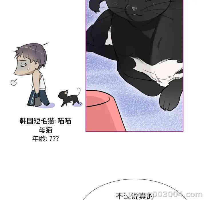 韩国漫画我的猫狗女友韩漫_我的猫狗女友-第一话在线免费阅读-韩国漫画-第18张图片