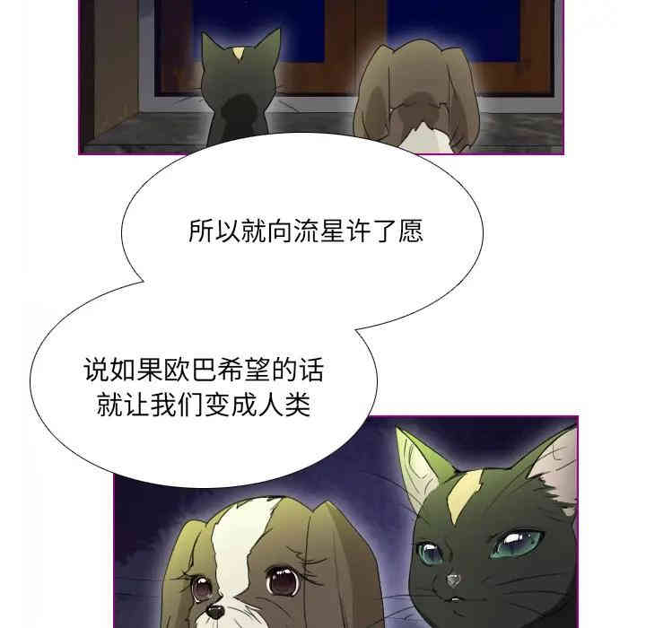 韩国漫画我的猫狗女友韩漫_我的猫狗女友-第2话在线免费阅读-韩国漫画-第43张图片