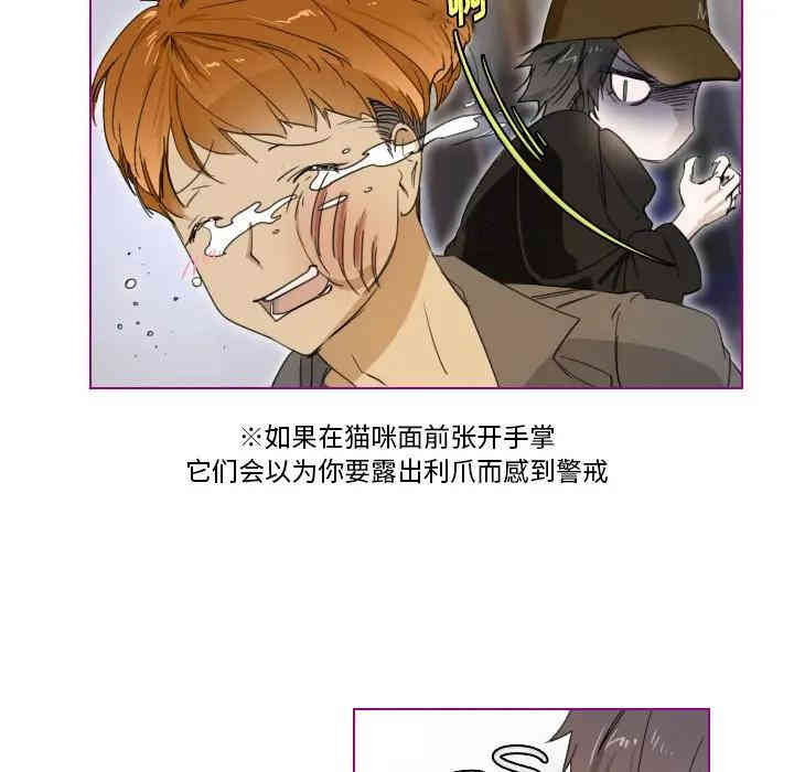 韩国漫画我的猫狗女友韩漫_我的猫狗女友-第3话在线免费阅读-韩国漫画-第37张图片