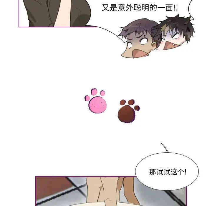 韩国漫画我的猫狗女友韩漫_我的猫狗女友-第4话在线免费阅读-韩国漫画-第19张图片