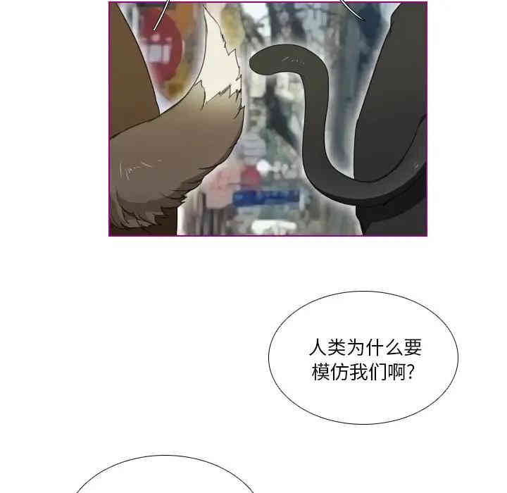 韩国漫画我的猫狗女友韩漫_我的猫狗女友-第4话在线免费阅读-韩国漫画-第38张图片