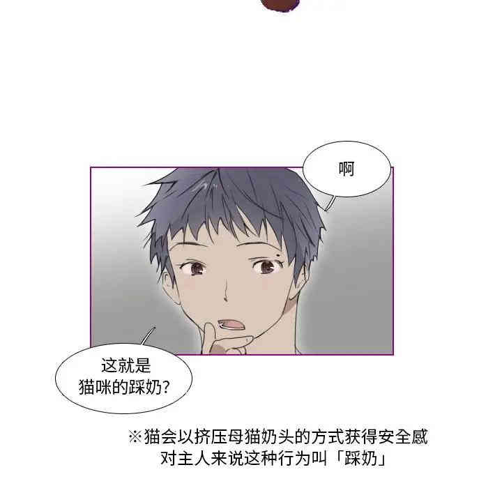 韩国漫画我的猫狗女友韩漫_我的猫狗女友-第8话在线免费阅读-韩国漫画-第11张图片