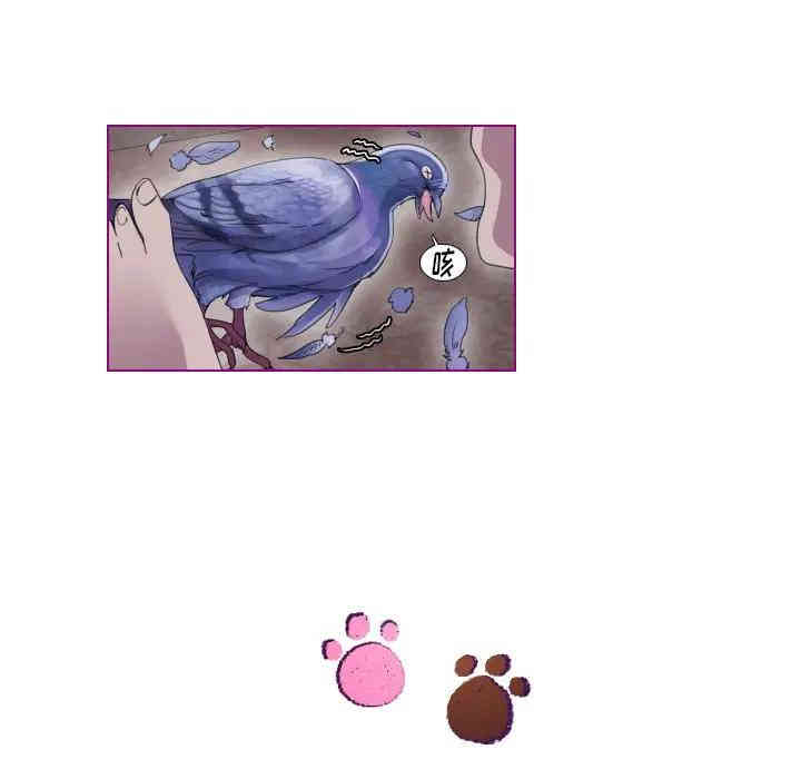 韩国漫画我的猫狗女友韩漫_我的猫狗女友-第9话在线免费阅读-韩国漫画-第35张图片
