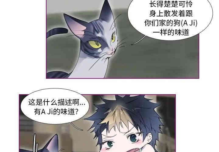 韩国漫画我的猫狗女友韩漫_我的猫狗女友-第13话在线免费阅读-韩国漫画-第2张图片